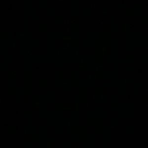 Meet your Posher, Eva